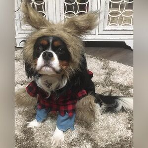 Werewolf Costume for Puppy Dogs Size M